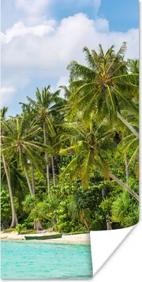 Produktbild von MuchoWow® Poster Palme - Meer - Tropisch 75x150 cm - Dekoration für die Wände
