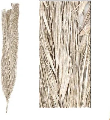 Produktbild von Sušená exotická bielená tráva 100 cm