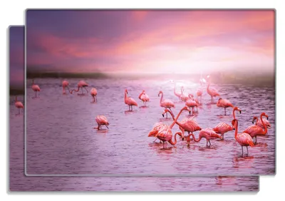 Produktbild von Wallario Frühstücksbrettchen 2er Set aus Glas, je 20 x 30 cm, mit rutschfesten Füßen, Motiv Rosa Flamingos bei Sonnenuntergang