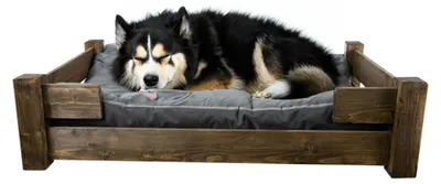 Produktbild von Hundebett Winston XXL Palisander mit Füßen mit Kissen grau 100x60x25cm