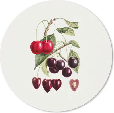 Produktbild von MuchoWow® Mauspad Mousepad Kirschen - Obst - Jahrgang 40x40 cm - Mousepads - Maus Mat - Pad - Mausunterlage - Schreibtisch Accessoires