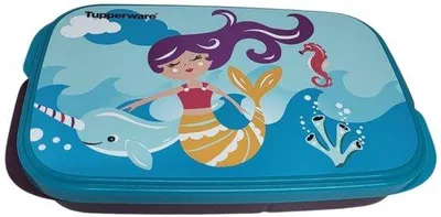 Image de Boîte à lunch 550 ml avec séparateur Eco Schulbox Bleu