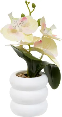 Produktbild von Künstliche blume mick orchidee h 23 cm  - Atmosphera créateur d'intérieur