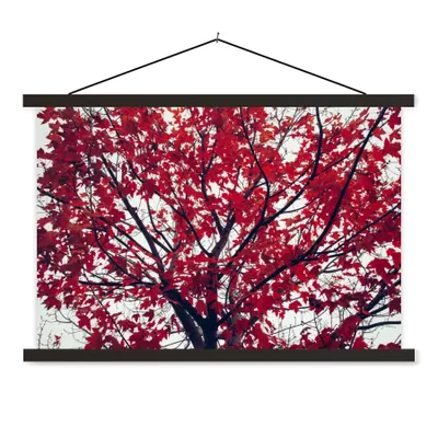 Produktbild von MuchoWow® Textilposter Ahorn - Blätter - Herbst - Natur 60x40 cm mit schwarzem Rahmen - Hölzernes