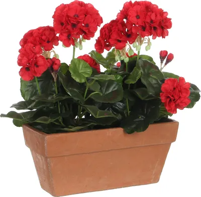 Image de Mica Decorations Fleur artificielle Geranium - 29x13x40 cm - Plastique - Rouge