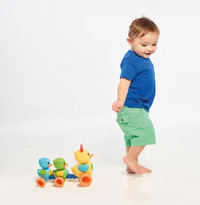 Image de Tomy Famille de canards