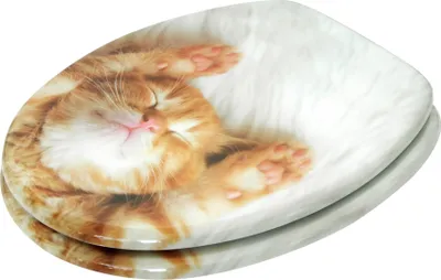 A toilet seat with a printed image of a sleeping kitten.