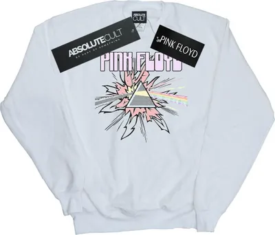 Produktbild von Pink Floyd - Sweatshirt für Herren BI49271 (S) (Weiß)