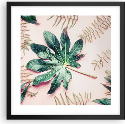 Produktbild von Gerahmtes Poster - Schwarzer Rahmen - Blatt Tropisch Palme - 40x40 cm - Wand Bild - Wanddeko - Wandbilder - Kunstposter - Wandposter - Bilderrahmen - Bilder - Kunstdruck - Wandbild - P2BAC40x40-4314