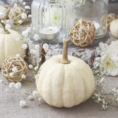 Produktbild von Servietten 33x33 cm - Modern pumpkin