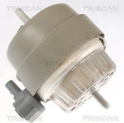 Image de Roulement moteur TRISCAN Expertise aprèsadapté notamment à AUDI A6