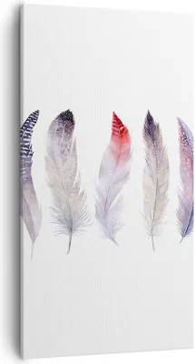 Produktbild von Bild auf Leinwand - Leinwandbild - Feder Tier Vogel Komposition - 55x100cm - Wand Bild - Wanddeko - Leinwanddruck - Bilder - Kunstdruck - Wanddekoration - Leinwand bilder - Wandkunst - PA55x100-2951