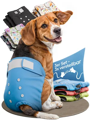 Produktbild von HUND IST KÖNIG Windeln für Hündinnen [3 Stk], S (Taille 29-40 cm), saugstarke Windeln, 3-Fach justierbar für festen Sitz bei Läufigkeit & Inkontinenz
