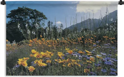 Produktbild von MuchoWow® Wandteppich Wandbehang Blumen - Natur - Farbe 60x40 cm Tapisserie Dekoration Wandtuch - Wanddekorationen