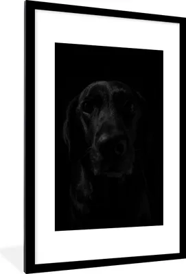 Produktbild von MuchoWow® MuchoWow® Gerahmtes Poster Hund - Haustier - Schwarz 60x90 cm - Poster mit zchwarzem Bilderrahmen - Dekoration - Wandposter Wohnzimmer - Hochwertig