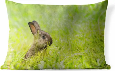 Produktbild von MuchoWow® Outdoor Kissen - Kaninchen - Baby - Gras - 60x40 cm - Wetterfest - Lounge Kissen - Zierkissen - Kissen für Innenräume