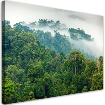 Produktbild von Leinwandbild Wald in Nebel-Landschaft 120x80 Feeby Grün bild für die wand bereit zum aufhängen