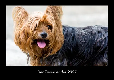 Produktbild von Der Tierkalender 2027 Fotokalender DIN A3