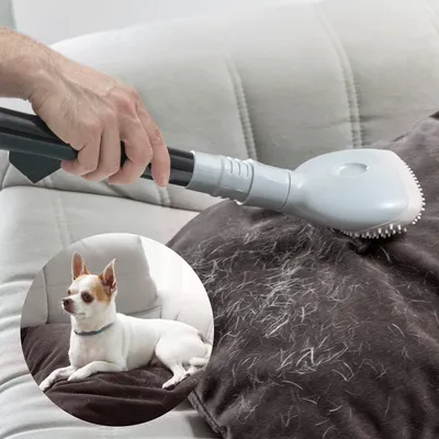 Obrázek produktu pro InnovaGoods - Kartáč na chlupy na vysavač - 8435527812652
