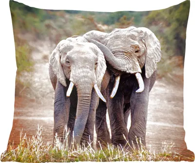 Produktbild von MuchoWow® Zierkissen Sofakissen Wohnzimmer Dekokissen 45x45 cm Elefant - Tiere - Bäume - Natur - Schlafpolster - Polster für das Sofa