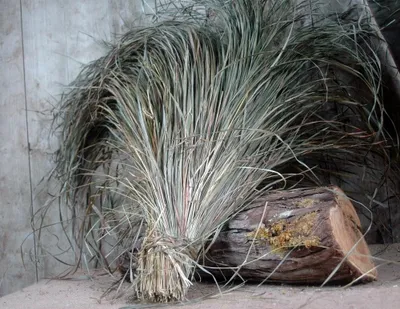 Productafbeelding van Gedroogd Mariengras 100 g