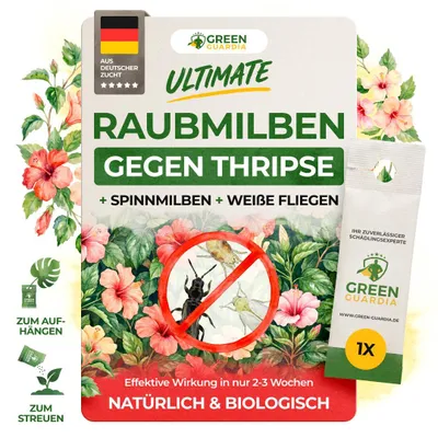 Produktbild von Turbo Raubmilben Swirskii gegen Thripse, Weiße Fliegen & Spinnmilben - 1 Tüte - Thripse Bekämpfung, Raubmilben gegen Thripse, Spinnmilben bekämpfen