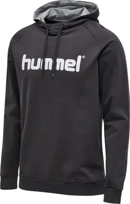 Produktbild von Hummel Go Baumwolle Logo Hoodie Kinder