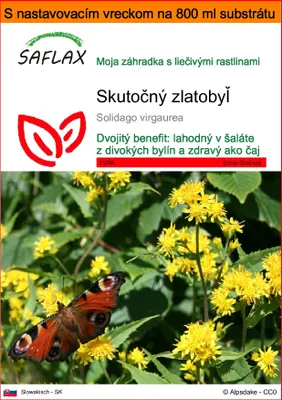 Obrázok produktu pre SAFLAX Garden in the bag - Skutočný zlatobyľ - Solidago virgaurea - 100 Semená - S pestovateľským substrátom v praktickom samostaviteľnom vrecku