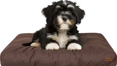 A puppy lying on a dog bed.