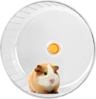 Immagine prodotto di Ruota Silent Spinner 17 cm/6,69 pollici - Trasparente - Plastica lavabile