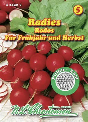 Produktbild von Radies Rodos (Pillensaat) | Radieschensamen von N.L. Chrestensen