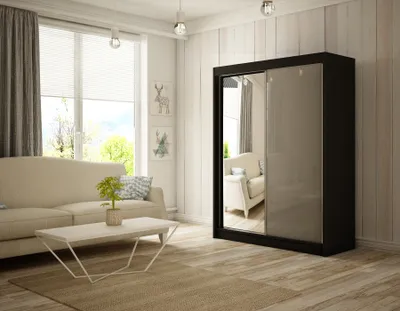 Image de Armoire Venus 120 cm avec 2 portes coulissantes et miroir Livraison à domicile Tringle à vêtements Penderie Armoire (couleur : noir, lacobel gris)