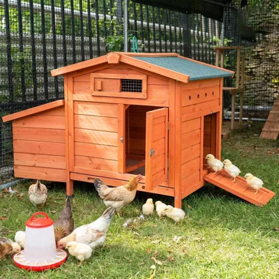 Produktbild von Hühnerhaus aus Holz für 2–3 Hühner, winterfest und isoliert, mit 2 Nistkästen, Legenest, Rampe und Reinigungsschublade, wetterfestes Dach, für Garten