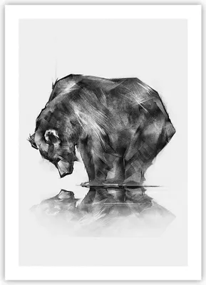 Produktbild von Poster - Poster ohne Rahmen - Bär Tier - 50x70 cm - Wand Bild - Wanddeko - Wandbilder - Kunstposter - Wandposter - Bilder - Kunstdruck - Wanddekoration - Wandbild - P2XPA50x70-3921