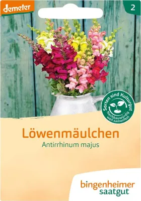 Produktbild von Löwenmäulchen - Antirrhinum majus