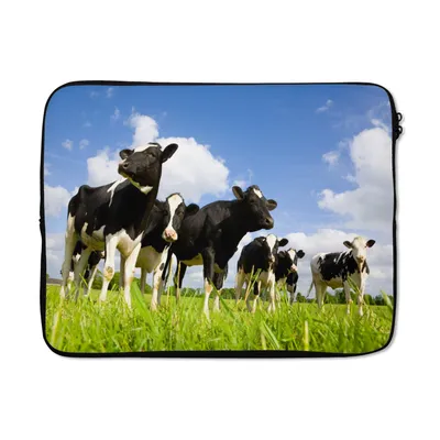 Produktbild von MuchoWow® Laptop Hülle 14 ZollKuh - Gras - Wolken Laptoptasche - Laptoptasche - Stoßsicher - Schutzhaube