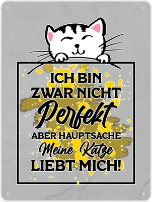 Produktbild von Meine Katze liebt mich Katzen Spruch Metallschild XL in 21x28 cm für
