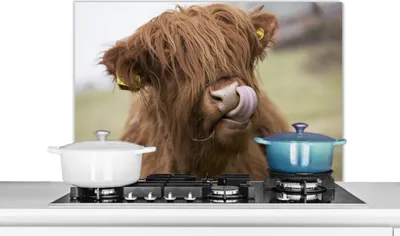 Obrázek produktu pro KitchenYeah® Kitchen splashback - Kuchyňský splashback - Ochrana stěny sporáku a dřezu - Skotský náhorní skot - Hnědá - Kráva 90x60 - Hliníkový dibond (alternativa ke skleněnému splashbacku) - Tepelně odolný