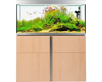 Produktbild von Aquariumkombination Fluval Siena 332 mit LED-Beleuchtung, Heizer, Außenfilter und Unterschrank 332 l Buche 110 x 55 x 12