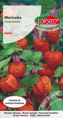 Produktbild von Orangefarbene Gramasamen 0,5g - Torseed