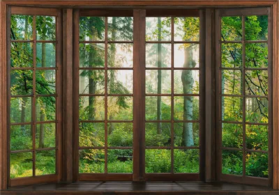 Produktbild von Vlies Fototapete Fensterblick 350x256 cm Tapeten Wandtapete XXL Waldlandschaft Bäume Natur c-C-0432-a-a