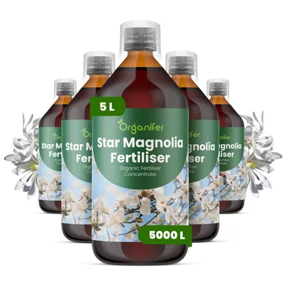 Zdjęcie produktu dla Hviezdna Magnólia Nawóz Płynny 5x1 L – 3-4-3 NPK – Do Hviezdne Magnólie – Podporuje Dlhotrvajúce Kwiaty, Vitalitu i Silne Rośliny – Organifer
