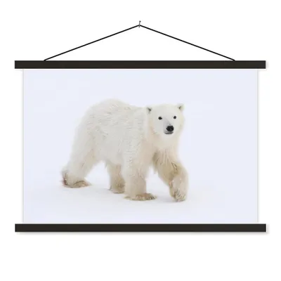 Produktbild von MuchoWow® Textilposter Eisbär - Schnee - Weiß 120x80 cm mit schwarzem Rahmen - Wanddeko