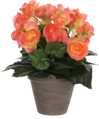 Produktbild von Mica Decorations Begonien Kunstpflanze im Blumentopf Stan - H30 x Ø25 cm - Lachsrosa
