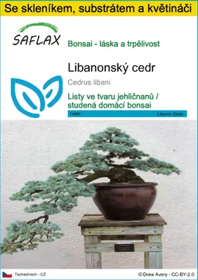 Obrázek produktu pro SAFLAX Kultivační sada - Libanonský cedr - Cedrus libani - 20 Semena - S mini skleníkem, pěstebním substrátem a 2 květináči