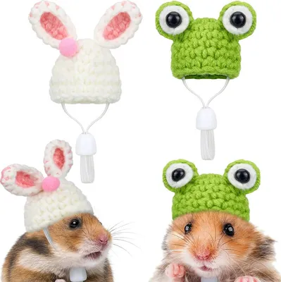 Produktbild von 2 Stück Mini handgestrickte Mütze, niedliche Haustiermütze mit verstellbarem Riemen für Hamster, Schlange, Frosch, Kaninchen, Eidechse, Kleintier, Reptilienkopf, Kostümzubehör, Kleidung