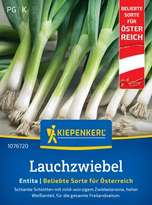 Artikelbild 2 von 'Lauchzwiebel Entita (Regional AT)' aus der Kategorie Lauchzwiebelsamen