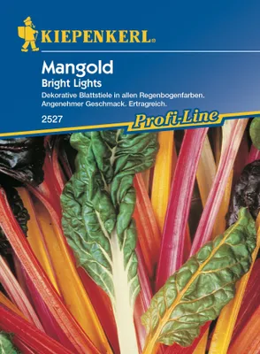 Produktbild von [STREICHUNG 2025] Mangold Bright Lights | Mangoldsamen von Kiepenkerl