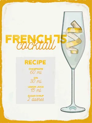 Produktbild von vianmo Holzschild 40x30 cm French 75 Cocktail Recipe Essen Trinken
