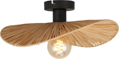 Produktbild von TOOLIGHT Deckenlampe App1827-1C Black